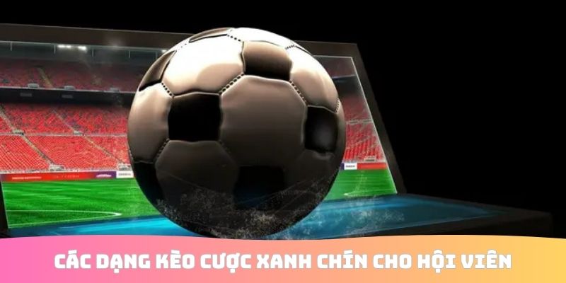 Các dạng kèo cược xanh chín cho hội viên