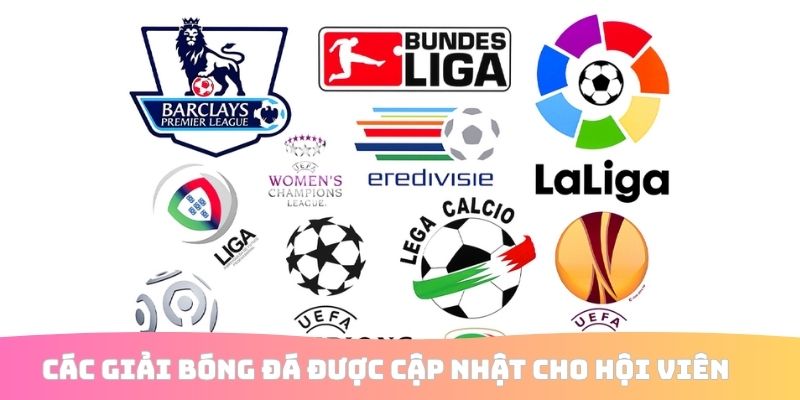 Các giải bóng đá được cập nhật cho hội viên