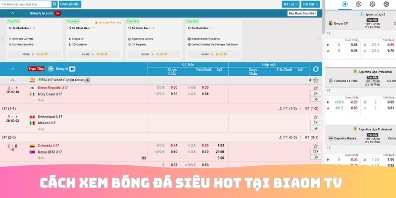 Cách xem bóng đá siêu hot tại Biaom TV