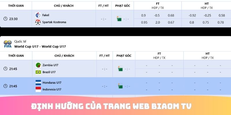 Định hướng của trang web Biaom TV