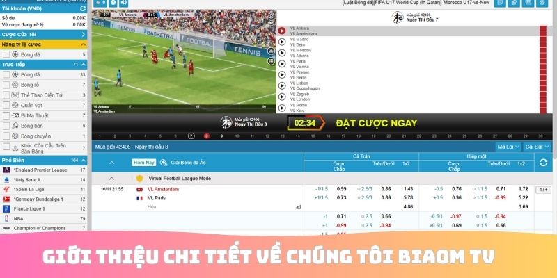 Giới thiệu chi tiết về chúng tôi Biaom TV
