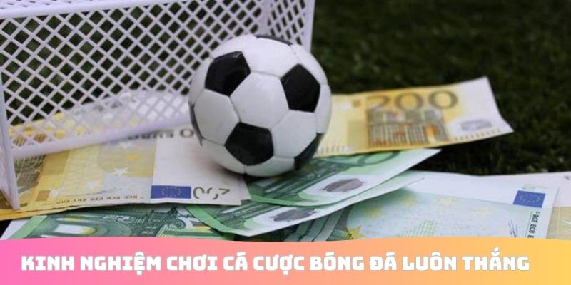 Kinh nghiệm chơi cá cược bóng đá luôn thắng