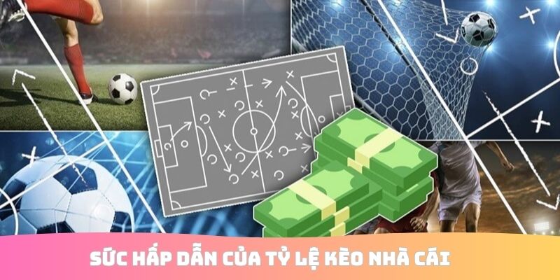 Sức hấp dẫn của tỷ lệ kèo nhà cái