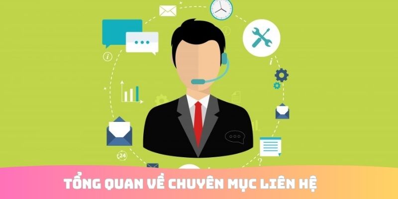 Tổng quan về chuyên mục liên hệ 